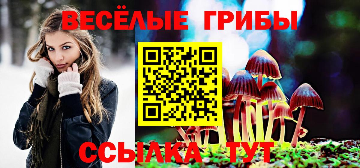 Кемерово  где продают   Вход с VPN  Псилоцибиновые грибы Cubensis  Псилоцибиновые грибы MAGIC MUSHROOMS 